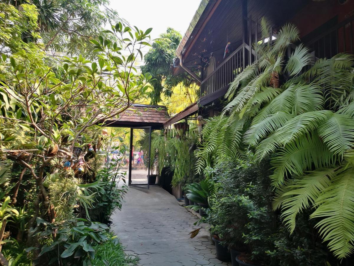 Hoh Guesthouse Chiang Mai Luaran gambar